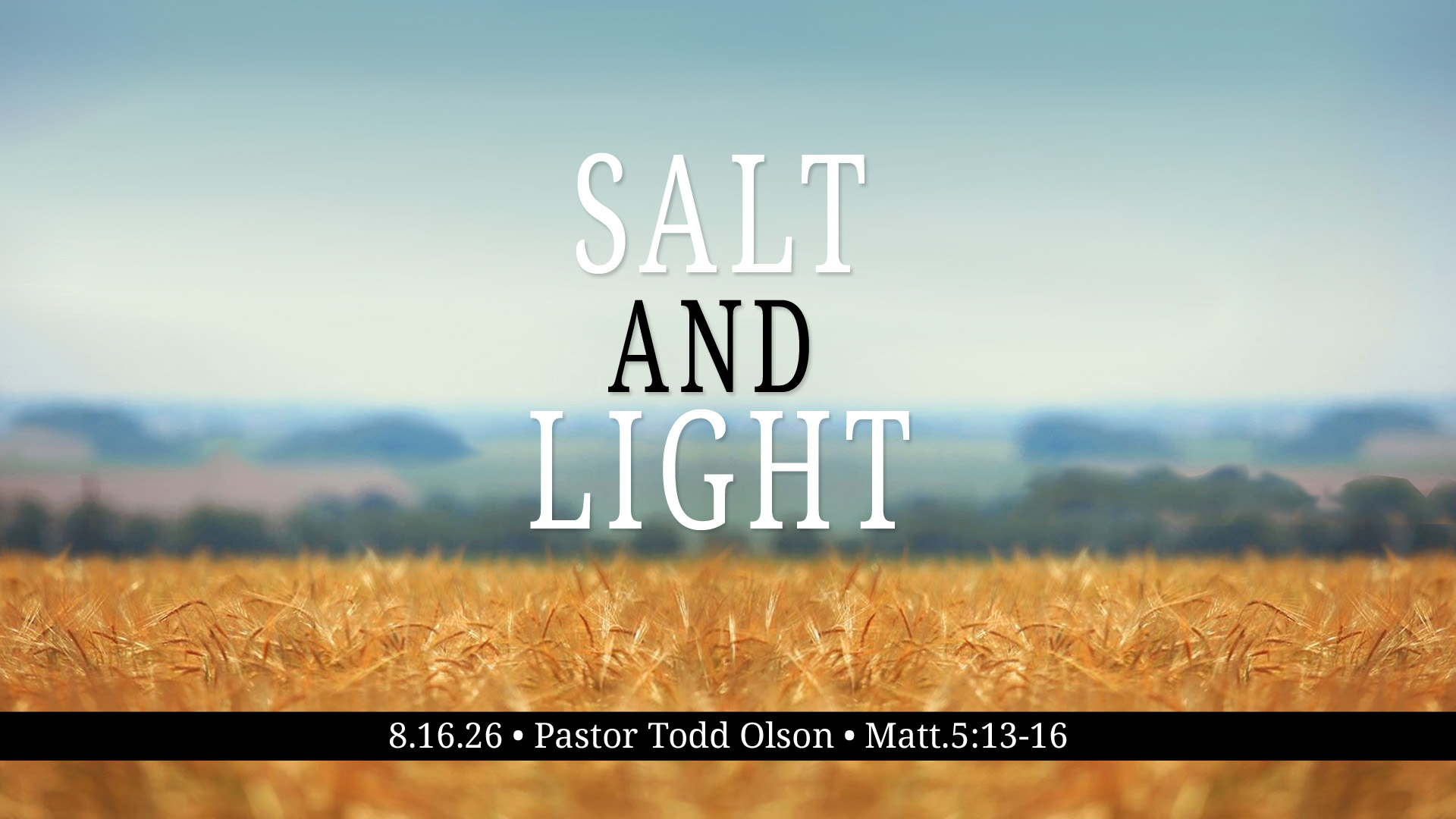 8.16.26 Salt and Light